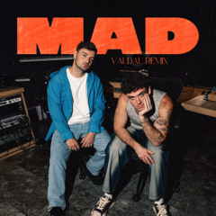 Martin Garrix & Lauv - MAD (Valdau Remix)
