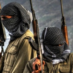 124. A Year Inside the PKK