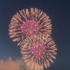 夏に咲いたシオン