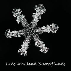 Lies Are Like Snowflakes