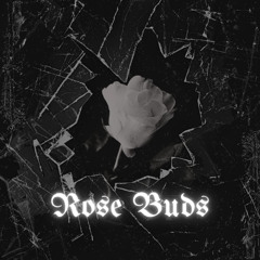 buds of white roses (produced by me)