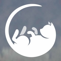 driftcat - puzzle (Synthion Debut Stream Version)