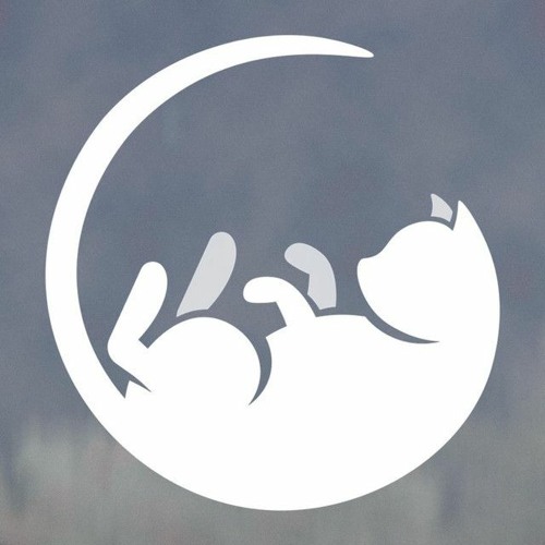 driftcat - puzzle (Synthion Debut Stream Version)