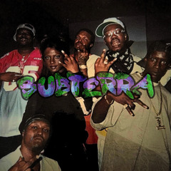 DJ AP - SETTIN THA STANG [DIRECT DL]