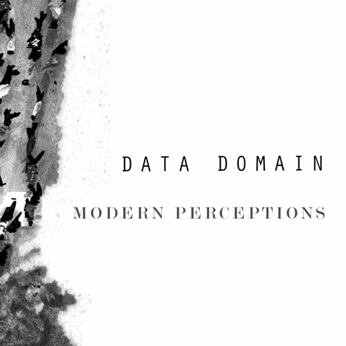 Data Domain - Modern Perceptions (Preview)
