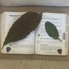 3 Fèyi 3 Rasino (1).mp3