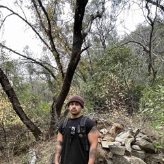 CRUISE IN THE PORSCHE (FREESTYLE)