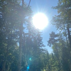 Sunshine