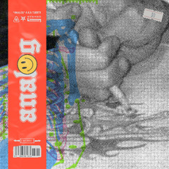 "ANALOG" x Aka Tuerto