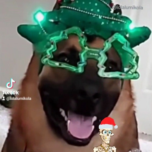 Don Pollo x Jingle Bell