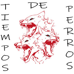 Tiempos De Perros