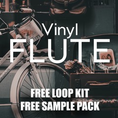 [FREE] Vintage Flute Trap Mini Loop Kit "Vinyl" | Download in Description