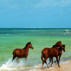 Senpol Islaand  - Ariyaa Tharaike Jabz&Truss🌴🌺