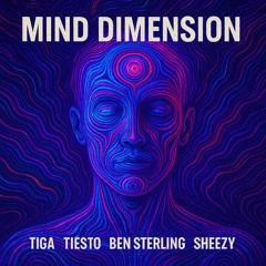 mind dimension remix sheezy kebab tech house Mau P brooklyn storehouse
