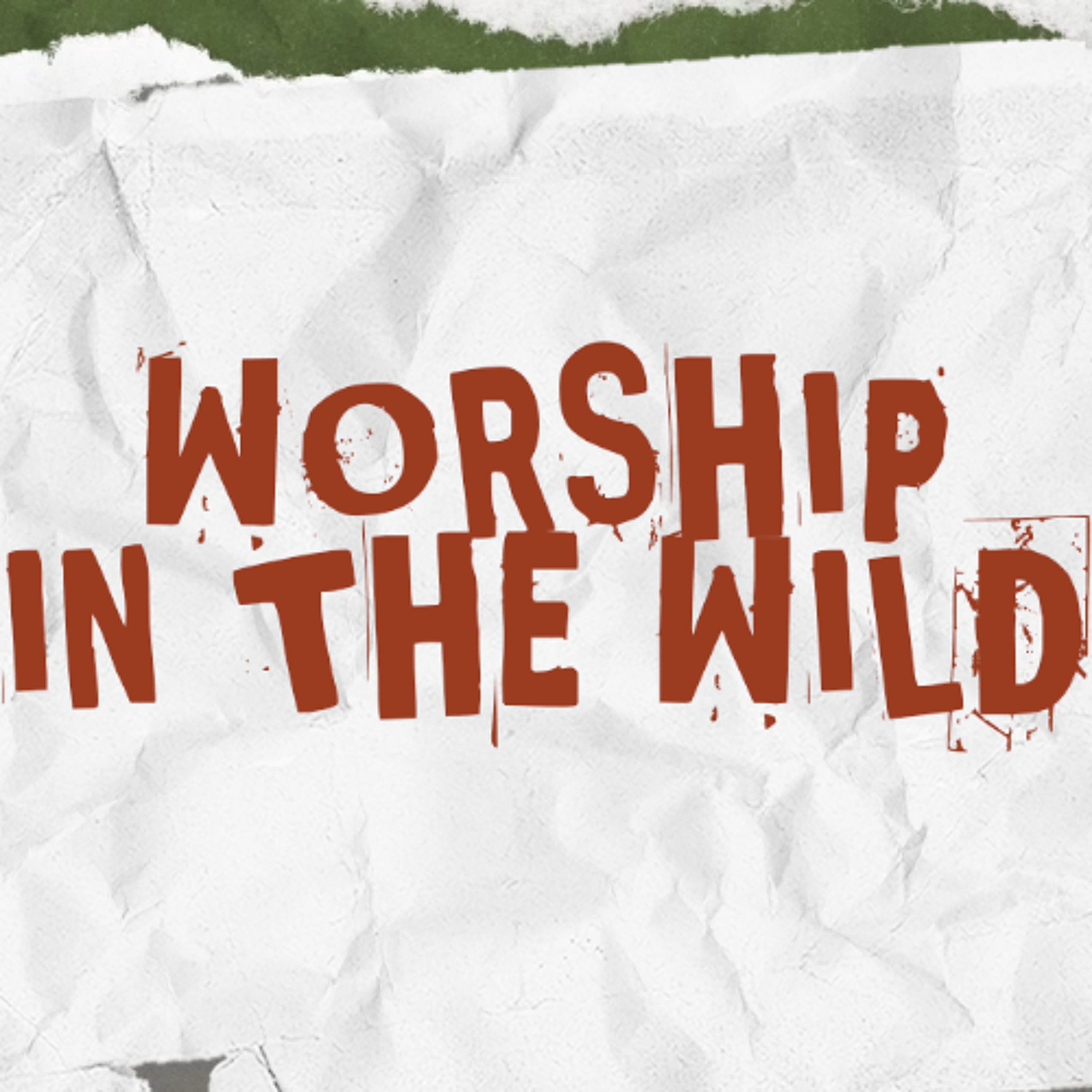 Made To Worship | WORSHIP IN THE WILD | Pastor Bethany Schmelzer episode artwork