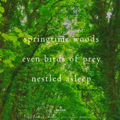 springtime woods [naviarkaiku565]
