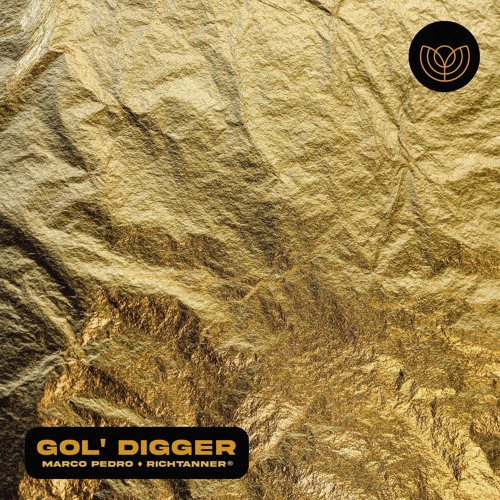 GOL' DIGGER (Marco Pedro & RICHTANNER® Remix)
