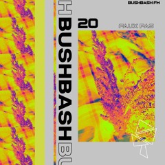 BUSHBASH FM__18 // FAUXPAS