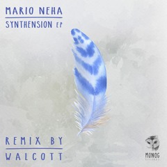 Mario Neha - Synthension EP