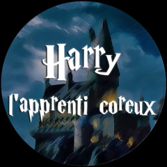 Harry, l'apprenti coreux [Tribecore - Hardtek]