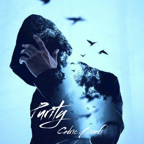 Cedric Bonfi - Purity (Original Mix) Rue Des Trois Rois Records