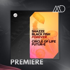 PREMIERE: Black Fish, SHAZZE - Forever (Circle Of Life Remix) [Movement Recordings]