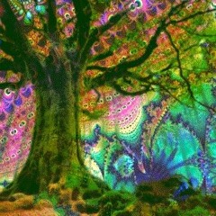 Nature One 24 - Psy