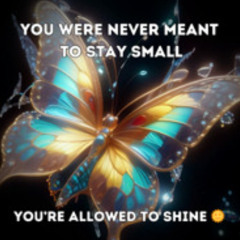 The Butterflys Awakening