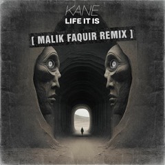 DJ KANE - Life It Is (Malik Faquir Remix)