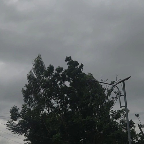 Trắng Ngà