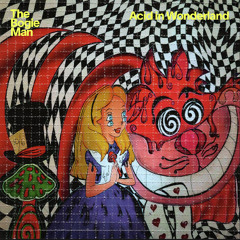 Acid in Wonderland