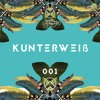 Kunterweiß | Kaktussaft DJ mix artwork - Electronic music tracklist cover image