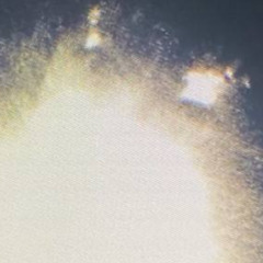 Сёрфер (yuko1of1)