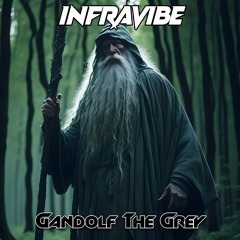 InfraVibe - Gandolf The Grey