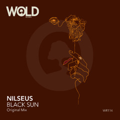 NILSEUS - Black Sun (Original Mix)