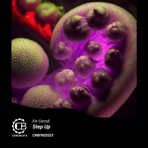 Fin Carroll - Step Up (CRBFREE023)