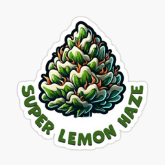 Stereo Haze - Super Lemon Hysteria