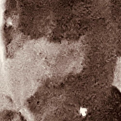 November Snippets 2021 (prod.jaysplash)