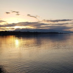Jirua