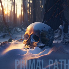 Primal Path (naviarhaiku474)