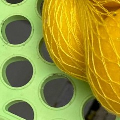 Op - 1 Field BoliBoli Pencil V022