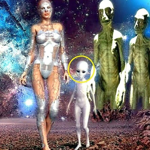 saint experiment - ahh #FREESTYLE *prod. narumi*