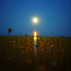 Never Forget Forgiveness written by Edwin H. Balder