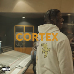 CORTEX