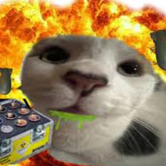 freeunky + 1nekozy - Project_27 (prod. ronan)