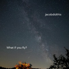 What if you fly?