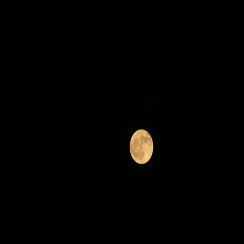 Blue Moon