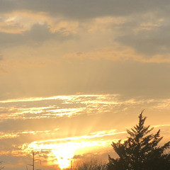 Lost in the Sky