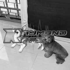 MIXBREAKZ 334 #Req JEJEYY x ADR MOTORSPORT