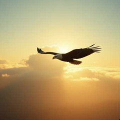 Soar_Like_An_Eagle